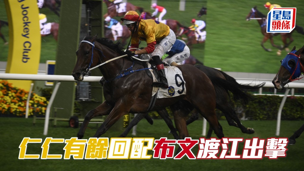 「「仁仁有餘」(圖) 今季曾在布文胯下贏馬,今次回配布文,首度渡江出擊。
