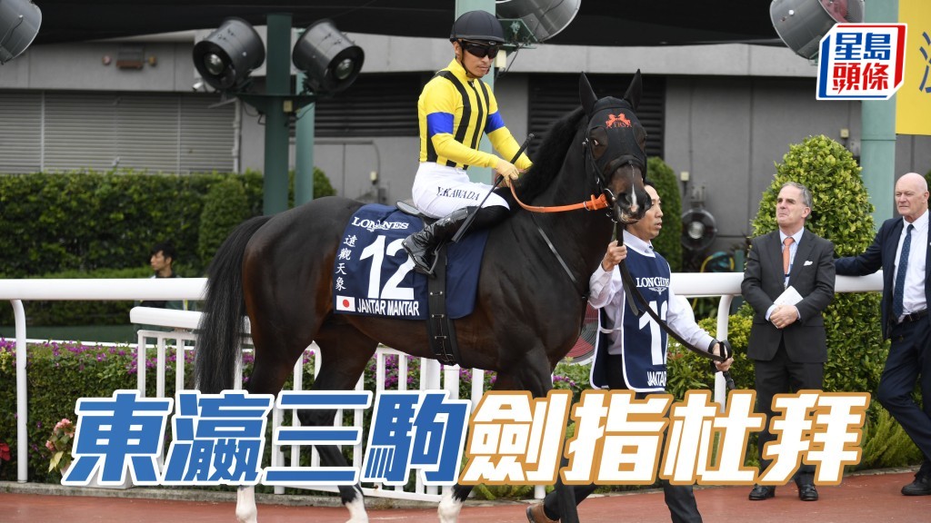 东瀛三匹佳驷「远观天象」(图)、「蒙面舞会」及Mikki Fight，将会远征杜拜。