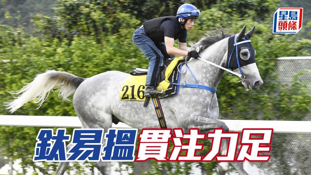 「鈦易搵」馬身紮實外觀對辦，朝氣勃勃復現勇態。