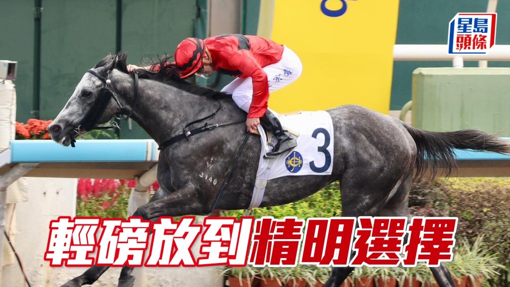 「精明選擇」上仗拋甩馬群獲亞軍，狀態正銳。