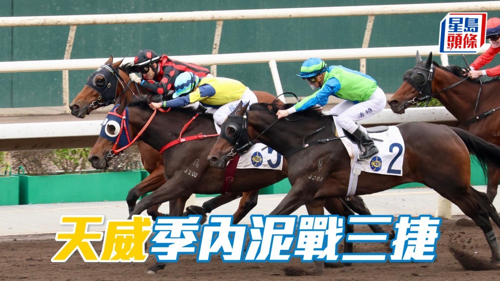 「天威」季內泥戰三捷