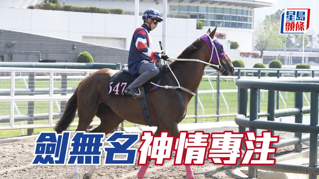 「劍無名」跨步爽朗勁度夠。