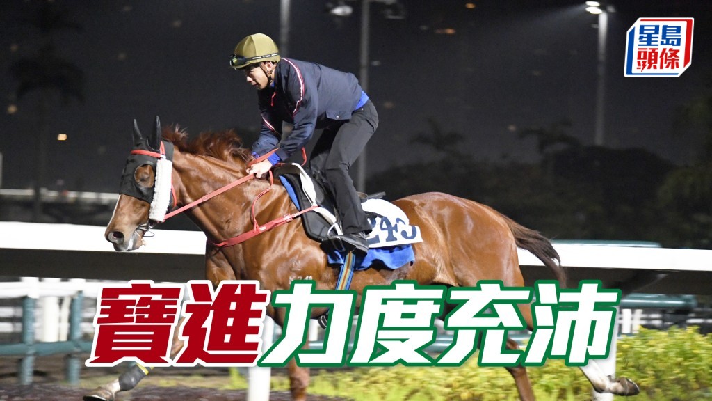 「寶進」雙耳烔烔目光銳利，神生步爽充滿朝氣。