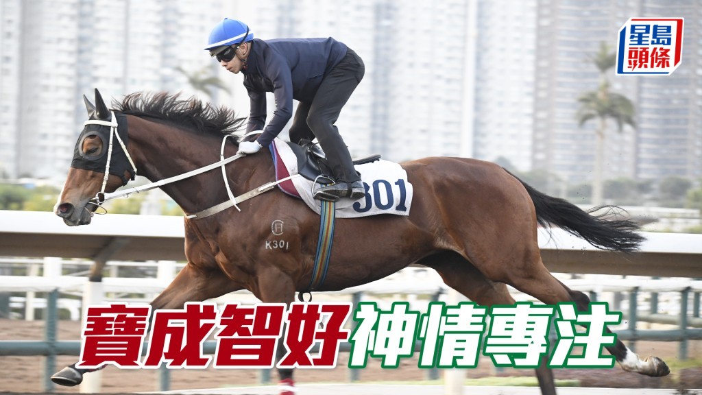 「宝成智好」试来不徐不疾，保持上佳进度。