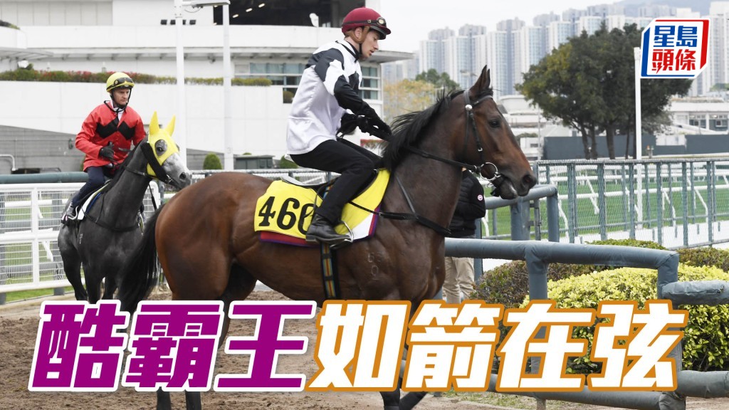 「酷霸王」今仗只要早段沒有落後太多，可望追上反先「黑白」。