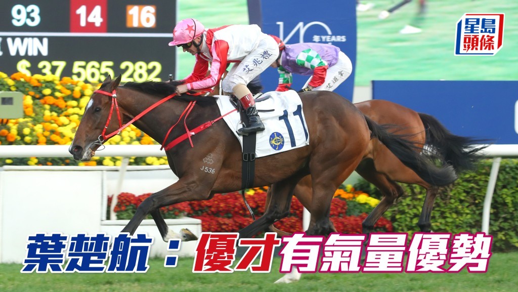 葉楚航相信「優才」(圖) 具氣量優勢問鼎香港經典盃。