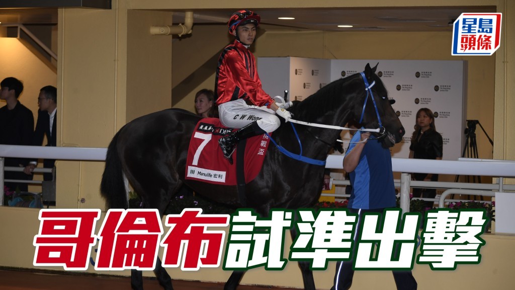 「哥倫布」拼後隨即往從化作小休及操練，埋門草地連番快跳，評分在降班邊緣仍動作多多，可爭特別獎金的牠，今仗可先跟一注。