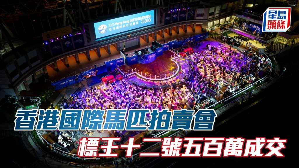 香港國際馬匹拍賣會十五駒售出,多匹低於成本價。
