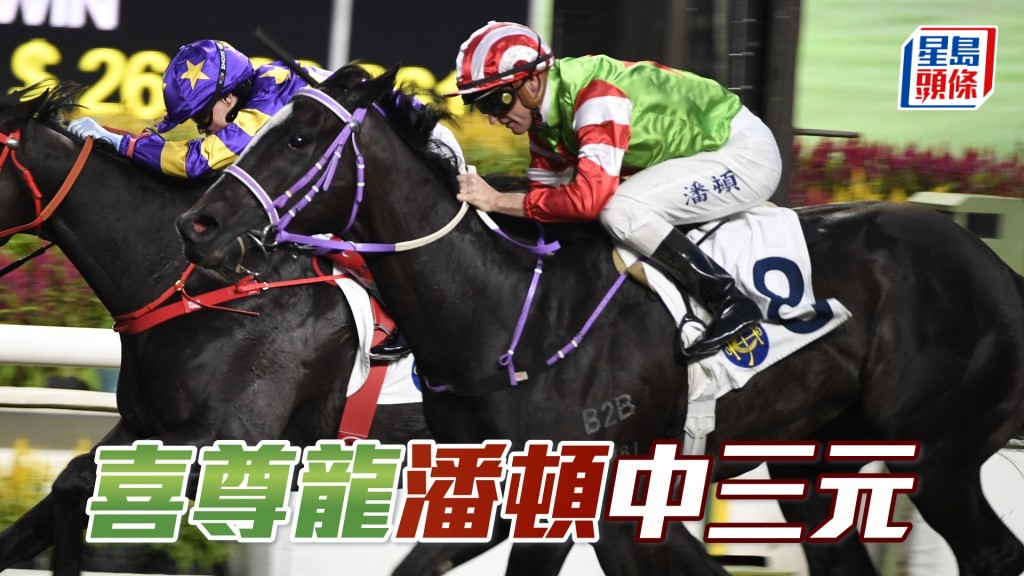 「喜尊龍」潘頓中三元。