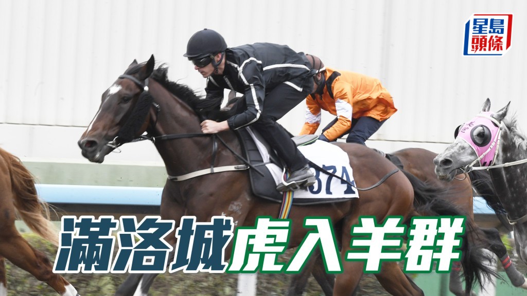 「滿洛城」過往在四班曾跑近，居五班虎入羊群。