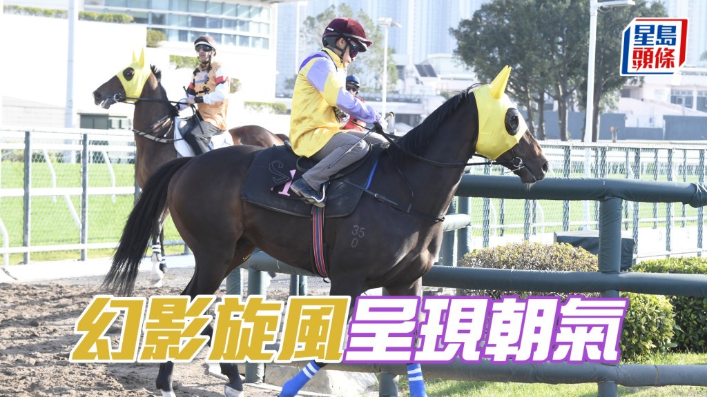 「幻影旋風」落腳輕巧夠俐落，確認踏上正軌。