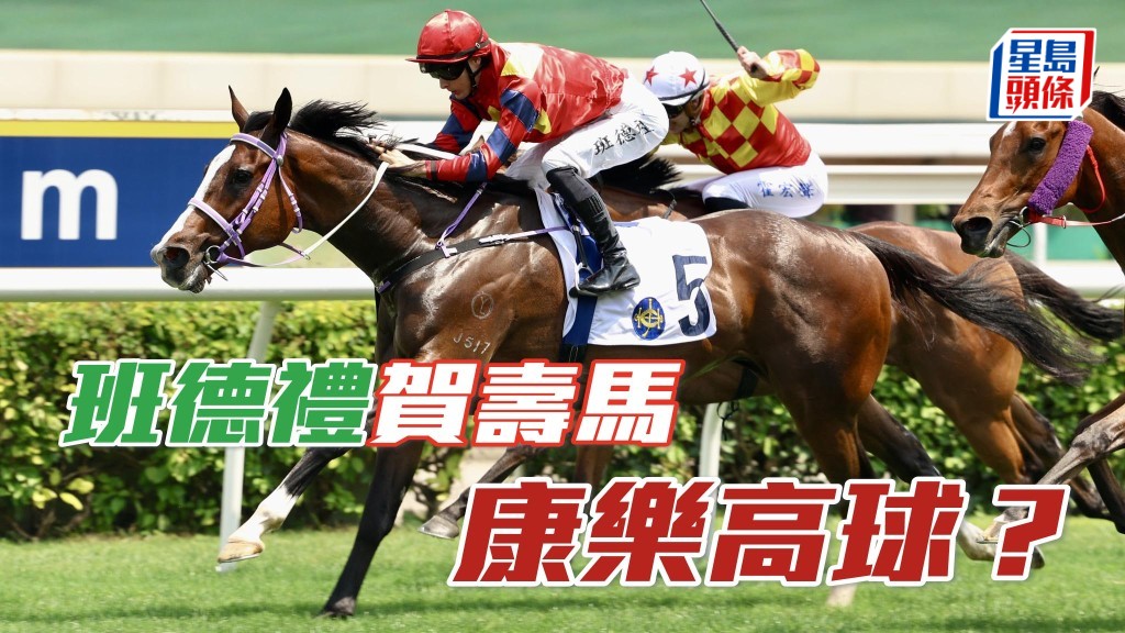 班德禮可望以「康樂高球」取勝,為自己賀壽,兼為此馬爭取第六捷。