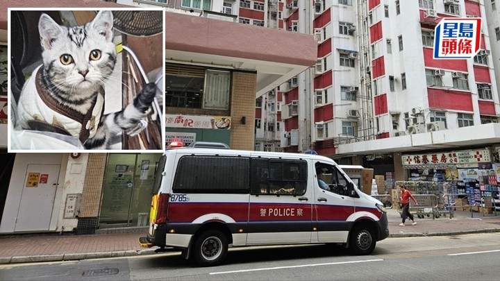 堅尼地城家貓一度失蹤 女主人疑鄰居偷貓報警 後尋回改列誤會