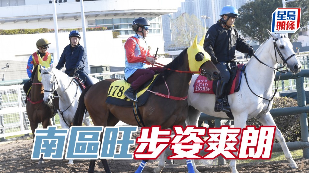 「南區旺」馬身壯健展現線條美，狀態一直省鏡。