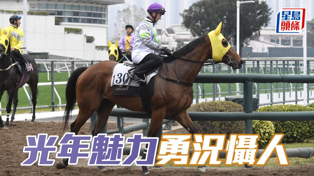 「光年魅力」(圖) 助手踱兩圈，輕描淡寫完成，神態自若豎起雙耳，馬身靚力度充足，神采奕奕勇況懾人。