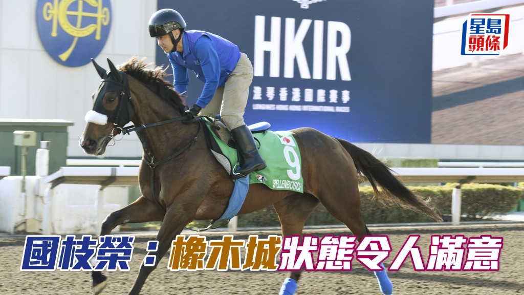 「橡木城」練馬師國枝榮，指馬兒只要克服起步問題，有力贏香港瓶。