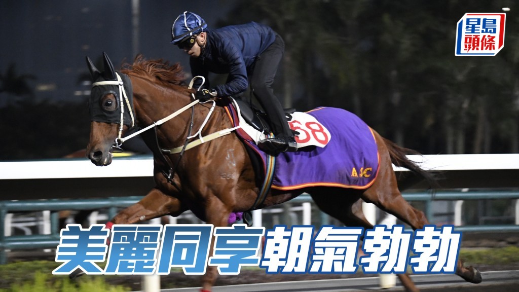 「美麗同享」年紀老了唔再搶口，走勢硬朗有勁，朝氣勃勃。