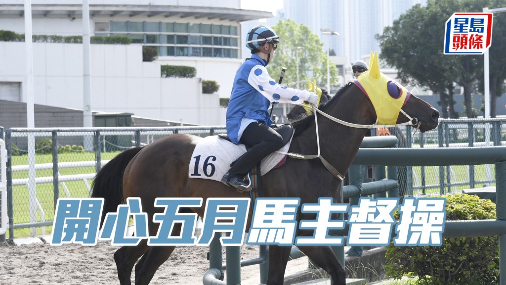今朝「开心五月」马主陈璟珑偕同几位朋友前来探班。