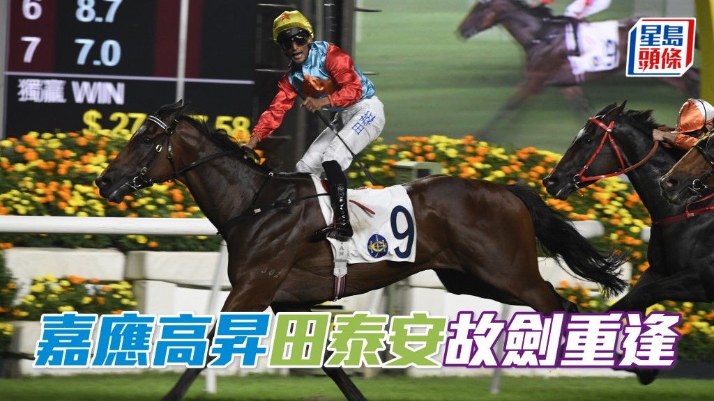 田泰安將接手「嘉應高昇」(圖) 和「怡昌光輝」兩匹潘頓新勝惡馬,前駒曾由田泰安贏馬,今戰故劍重逢。