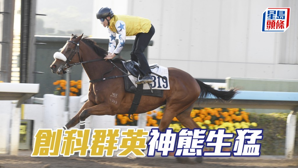 「创科群英」出脚整齐无乱，近况相当不俗。