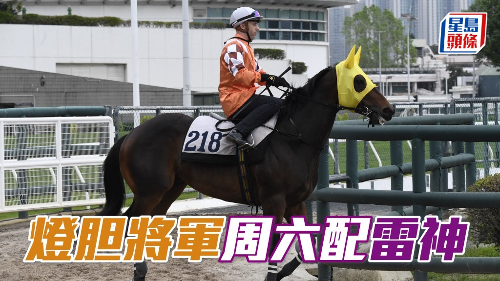 莫雷拉周六两匹外线马，包括「灯胆将军」。