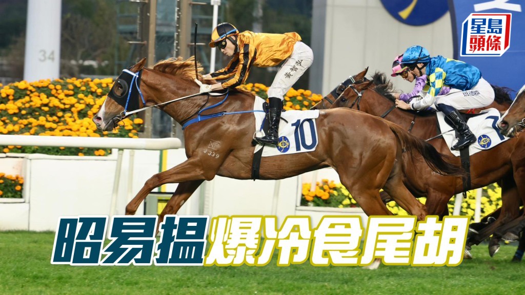 「昭易揾」爆冷食尾胡