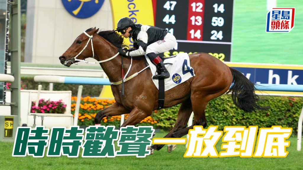 马场密探048｜「时时欢声」一放到底