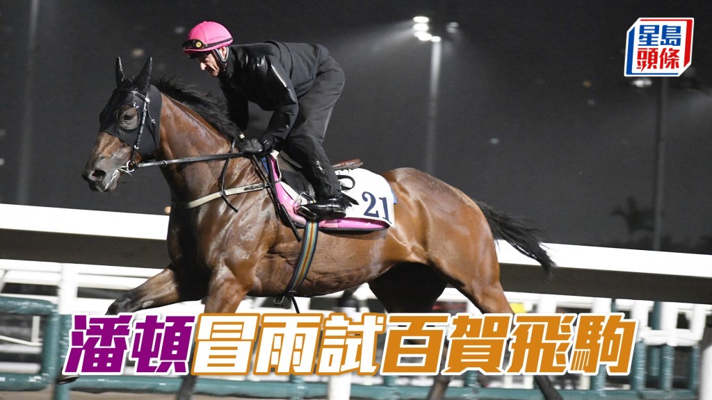 潘頓今朝出試「百賀飛駒」後，趁空檔走到烽火台搵呂健威商討大計。