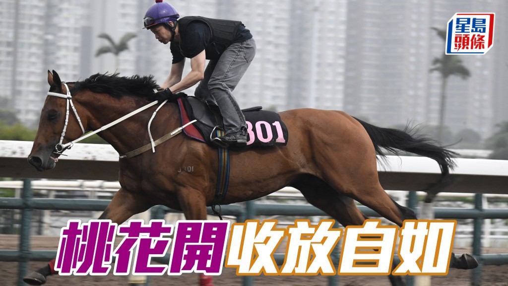 「 桃花開」收放自如