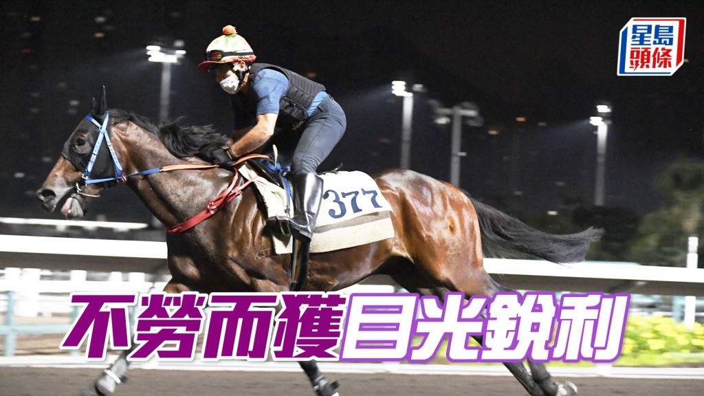 「不勞而獲」充滿活力好生猛，進度轉好勇況已備。