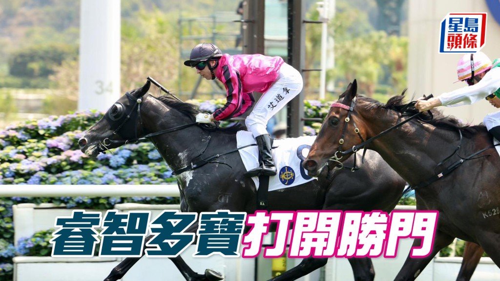 「睿智多宝」打开胜门