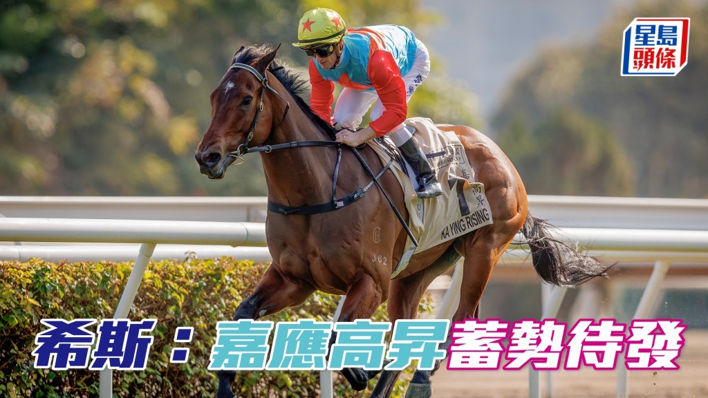 大衞希斯相信「嘉應高昇」已蓄勢待發，有力揚威珠穆朗瑪峰錦標。
