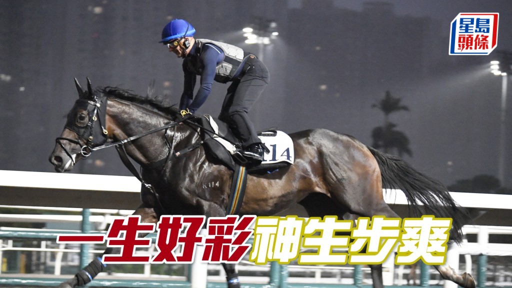 「天天更好」马身极之粗壮，火力又好相当省镜。