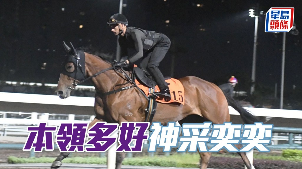 「本領多好」馬身茁壯毛水潤澤，落腳穩勁力不俗。