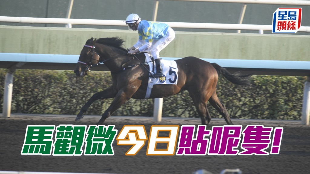 馬觀微全日心水│「樂勝天下」招姚得起