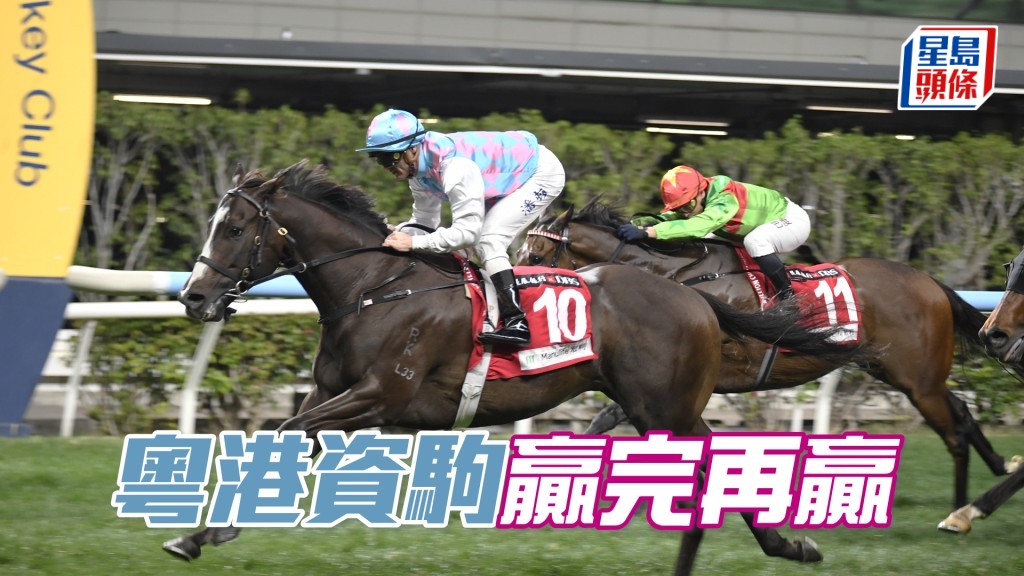 「粤港资驹」今场又排七档，有权赢完再赢。