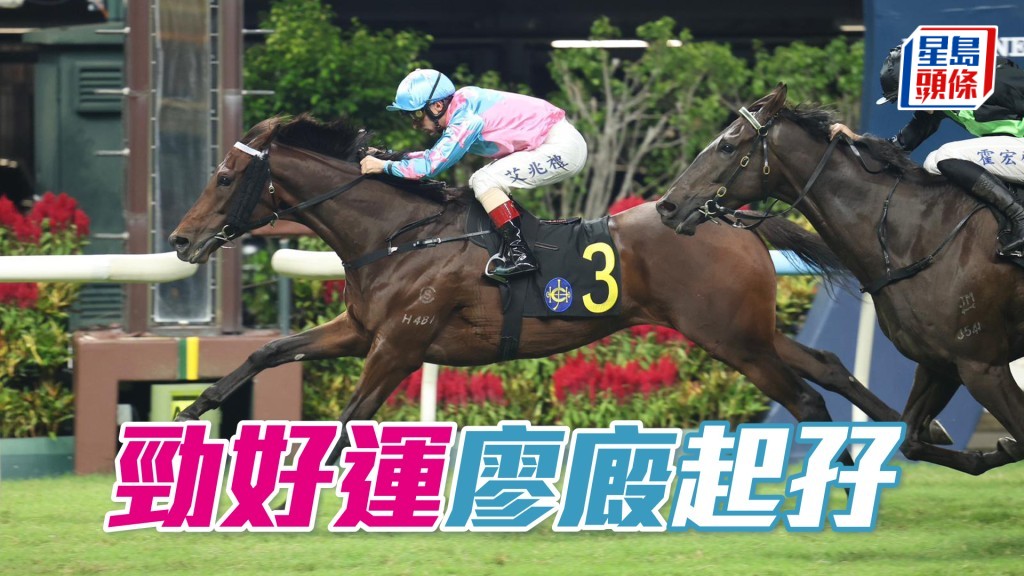「勁好運」廖廄起孖