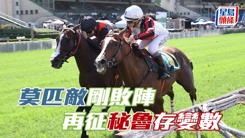 马场浮世绘｜「莫匹敌」刚败阵 再征秘鲁存变数