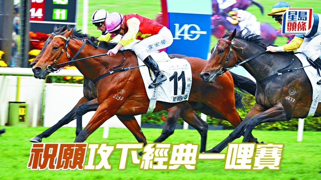 廖康銘和霍宏聲今日合作起孖,包括憑「祝願」勝出經典一哩賽。