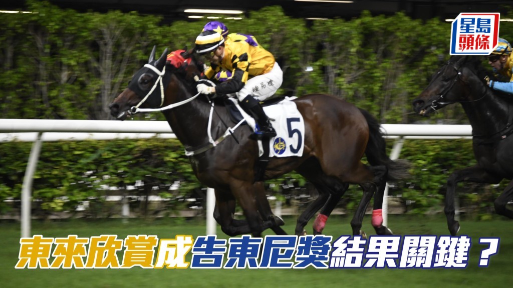 如果告東尼訓練的「東來欣賞」(圖) 在潘明輝發揮下勝出,可能成為告東尼獎花落誰家起了關鍵的因素。