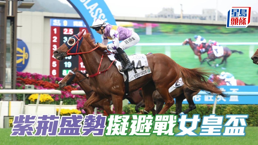 马场浮世绘｜「紫荆盛势」拟避战女皇杯 转战狮子山锦标