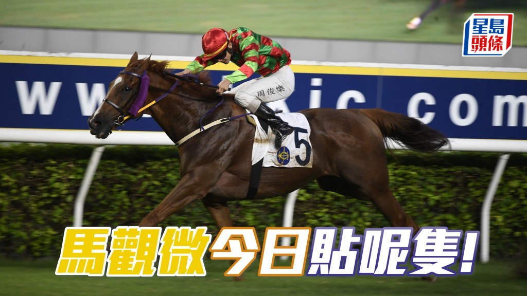 「時尚歡欣」鄭重補中