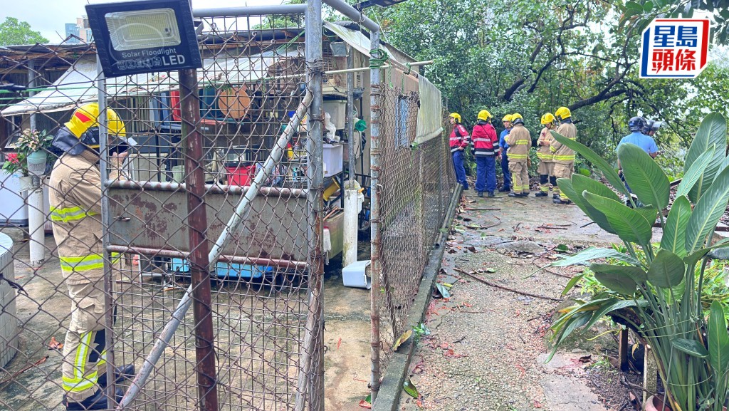 墮下樹丫擊中寮屋電線傳爆炸聲。梁國峰攝