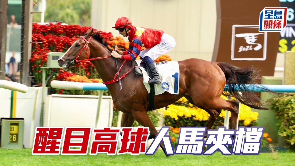 「醒目高球」配班德禮，人馬合拍可信賴。