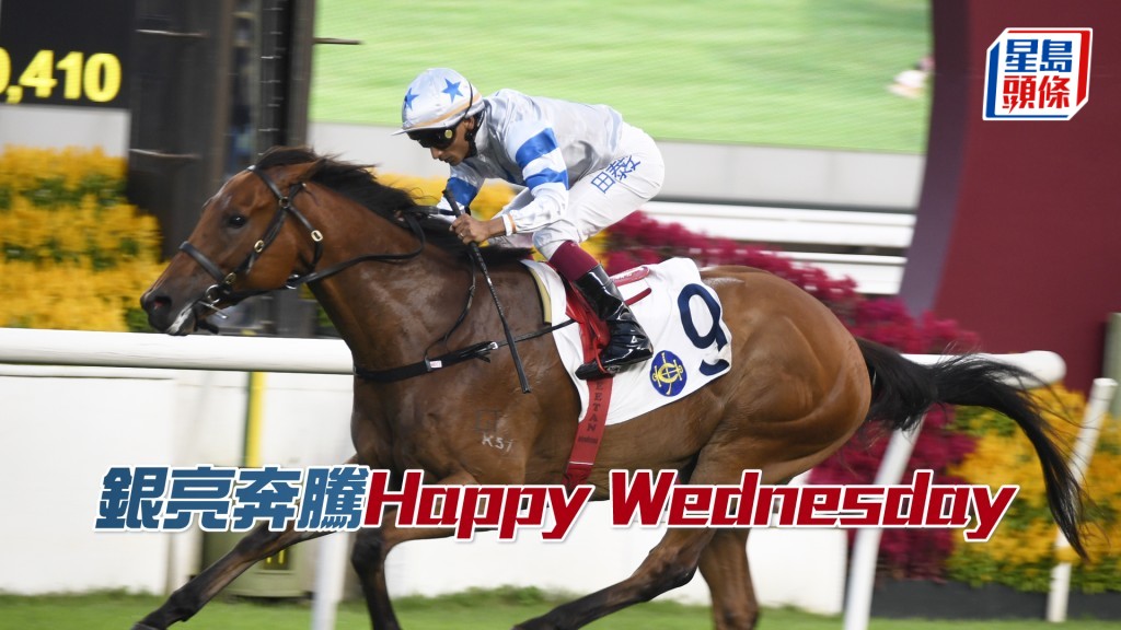 「银亮奔腾」今场降班遇不同对手，即使负顶磅仍有机。