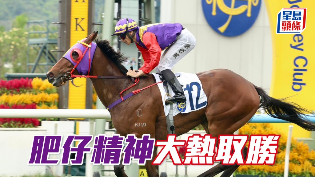 「肥仔精神」大熱取勝