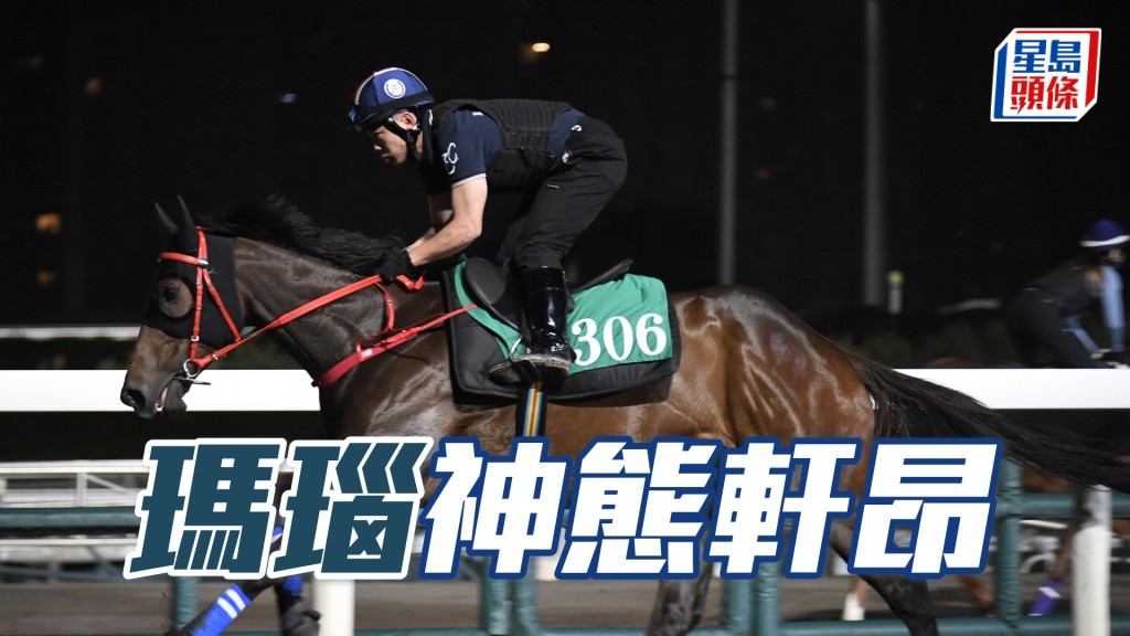 「瑪瑙」跨步開揚力度充沛。