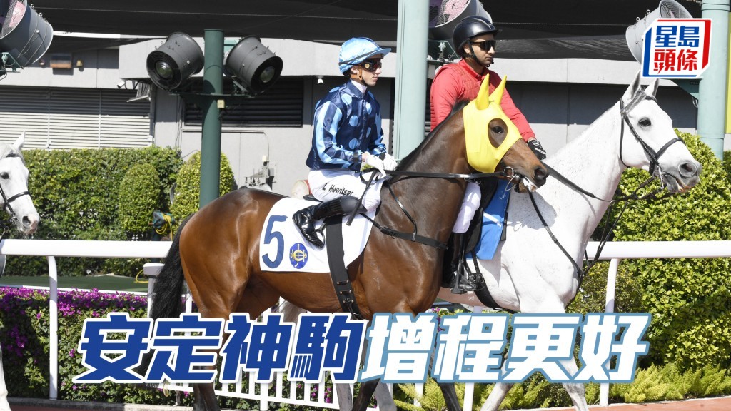 「安定神驹」排八档可灵活取位，将具有威胁。