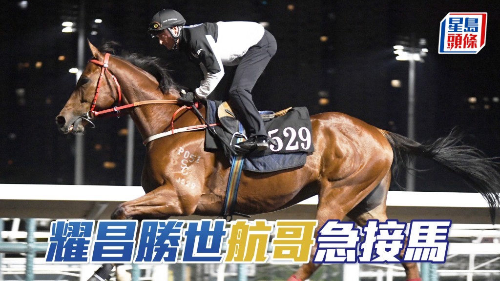 葉楚航今朝在烽火台睇完再返馬房閘口接馬。