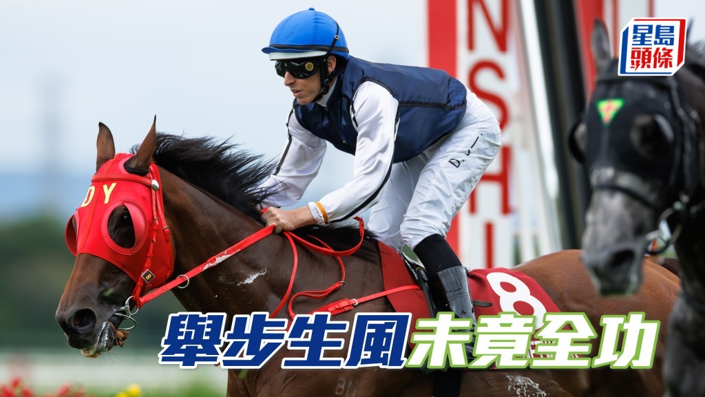 受喉部問題影響「舉步生風」在阪神角逐人馬錦標未竟全功